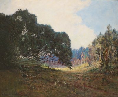 Imagen desconocida de D. Howard Hitchcock